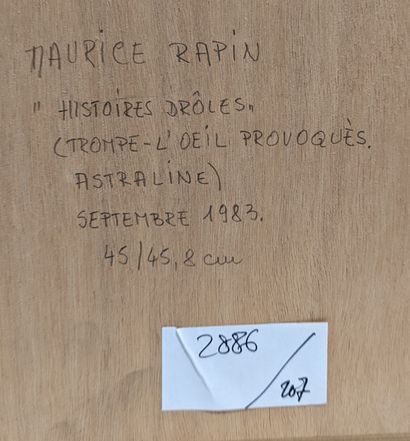 null Maurice RAPIN (1927-2000)
Histoires drôles (trompe-l'oeil provoqués, astraline),...