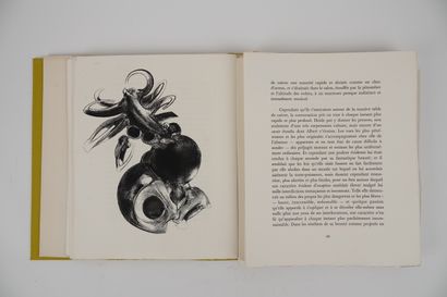 null GRACQ (J.): Au château d'Argol. Les Francs-Bibliophiles, 1968. In-4 en ff. sous...