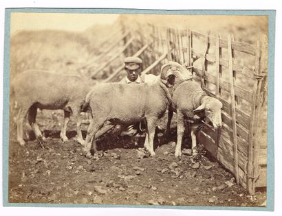 null Constant Alexandre FAMIN(1827-1888, photographe connu pour ses scènes rurales)...