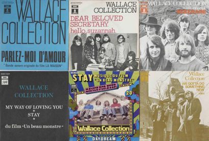 null Collection Vinyles 45 Tours de Pochettes Françaises de WALLACE COLLECTION Vinyl...