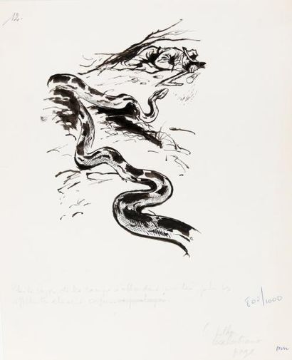 PICHARD Georges 4 Illustrations sur les hippopotames, les aigles et les serpents...