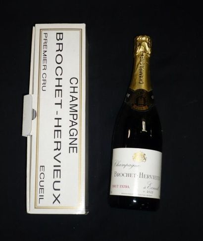 HERGÉ Tintin - Bouteille de champagne pour l'année 1994 Bouteille pleine, très bel...