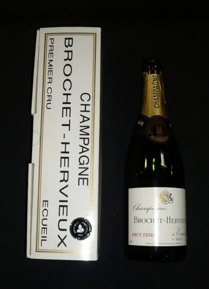 HERGÉ Tintin - Bouteille de champagne pour l'année 1994 Bouteille vide, complet de...