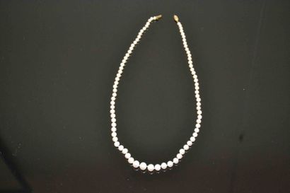 null COLLIER en perles de culture en chute 0,3 à 0,8 cm

Fermoir en or jaune

Poids...