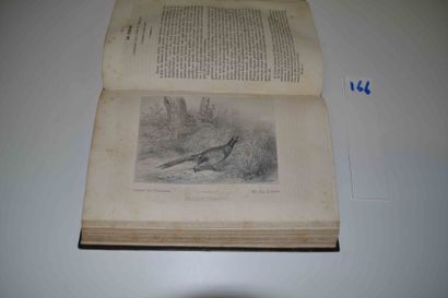 null [ADAM (Victor)] 

Journal des chasseurs. Revue littéraire. 1 vol. 4e année ...
