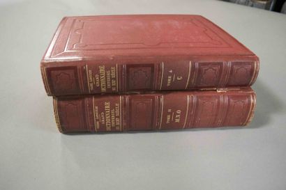 null LAROUSSE (Pierre)

Grand dictionnaire universel du XIXe siècle. 16 vol. (dont...