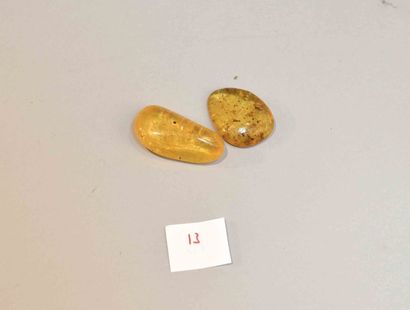 null Deux morceaux d'ambre jeune (copal) à inclusions d'insectes. Colombie