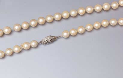 null Collier choker en perles de culture champagne rosé, fermoir en or gris 18k rehaussé...