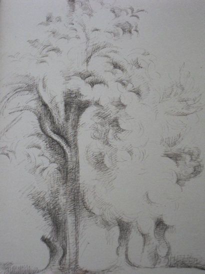 André LHOTE (1885-1962) Les arbres Dessin à l'encre de chine (oeuvre unique de l'artiste)...