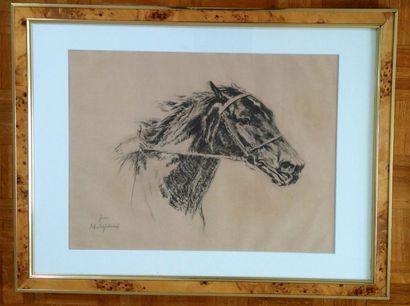 Louis-Ferdinand MALESPINA (French 1874-1940) (Attr.) "Horse head" Charcoal drawing....