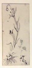 Tsuguharu FOUJITA (Japan 1886 - France 1968) "Study of flowers" Two in drawings on...