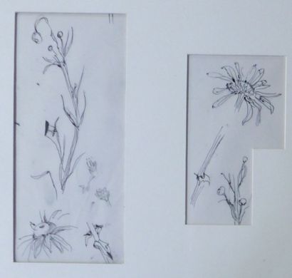 Tsuguharu FOUJITA (Japan 1886 - France 1968) "Study of flowers" Two in drawings on...