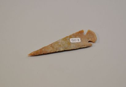 null Pointe de flèche préhistorique indienne. Silex.
L:12,5cm