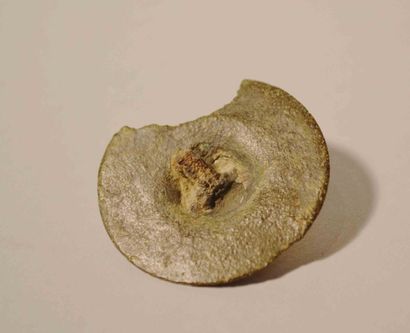 null Applique discoïde au visage de Méduse,
Bronze 4 cm
Période gallo romaine, I-IVème...