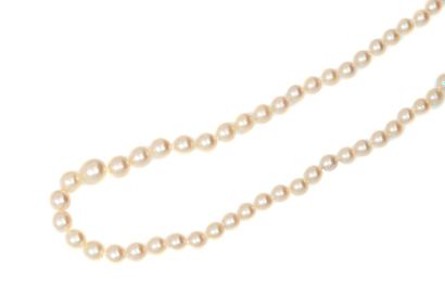 null Collier de perles en chute de 0,2 cm à 0,6 cm avec fermoir et chaîne de sécurité...