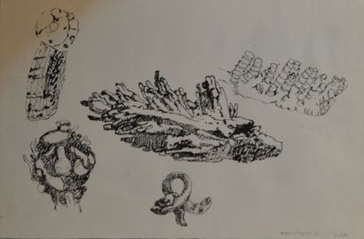 Jean-Robert IPOUSTEGUY "Déchets", 1956
Encre sur papier signé, titré et daté en bas...