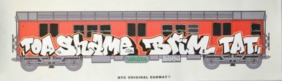 SHAME 125 & BRIM (TAT'S CREW New York, Bronx) 2016
Graffiti original sur rame de...