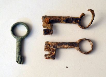 null Trois clés à rotation

Bronze et fer

6 à 7.5 cm

Période gallo romaine