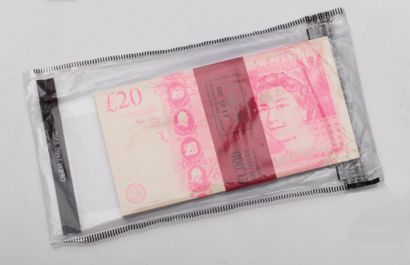 null Imbue
Counterfeit, 2016
Impression risographique de faux billets, sous scellé...