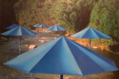 Christo

The umbrellas, Japon 1991

Impression...