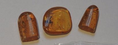 null Trois ambres jeunes (copal) dont avec insectes.

Env 1 million d’années 