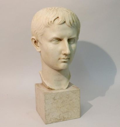 null Tête de Caius ou Lucius.
Caius et Lucius étaient les fils d'Agrippa ami d'Auguste...