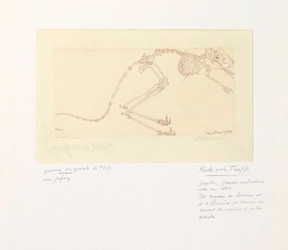 null Hede Von Trapp

« Springureus skelett », 1913

Gravure en couleur sur papier...