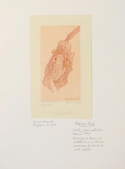null Hede Von Trapp

«Orchidee», 1913

Gravure en couleur sur papier signé en bas...