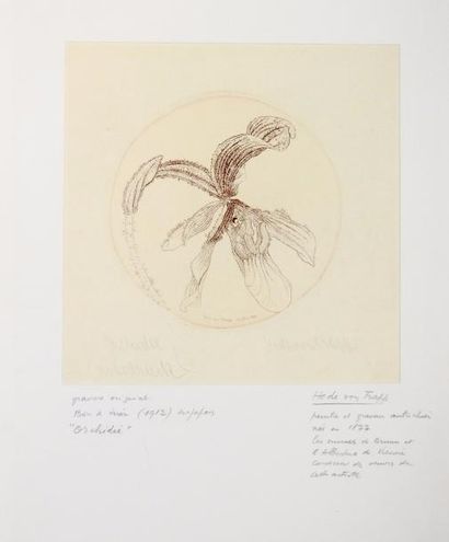 null Hede Von Trapp

«Orchidee», 1912

Gravure en couleur sur papier signé en bas...