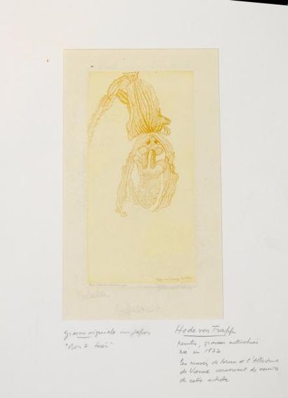 null Hede Von Trapp

«Orchidee», 1913

Gravure en couleur sur papier signé en bas...