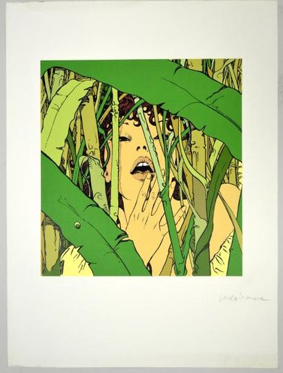 MANARA Femme dans la jungle
Sérigraphie signée (petites pliures en marge)
80 x 59...