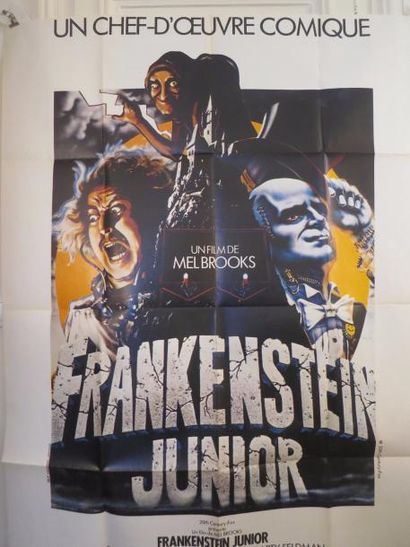 null FRANKENSTEIN JUNIOR (1974) de Mel Brooks avec Gene Wilder, Marty Feldman Affiche...