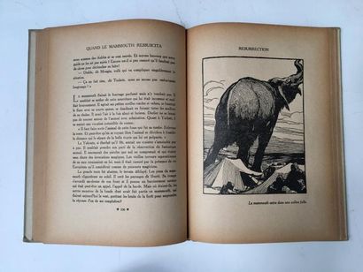 null BOUCHE LECLERCQ

Quand le mammouth ressuscita

Texte de Max Begouen, Collection...