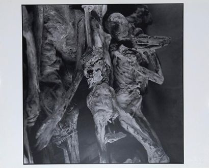 Ibanez Alberto (1961) Testimonio per un genocido I et II».
Photo noir et blanc sur...