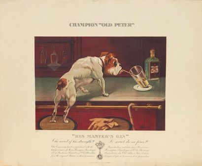 AUZOLLE Marcellin (1862-1942) Ensemble de 4 lithographies pour Old Peter's Dry Gin...