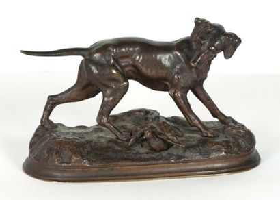MOIGNEZ Jules (1835-1894) «Chien chassant la caille» bronze à patine brune signée...