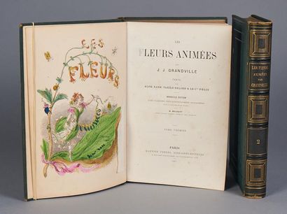 J.J Granville «Les fleurs animées» Paris, Garnier frères, 1867. Deux volumes in-4...