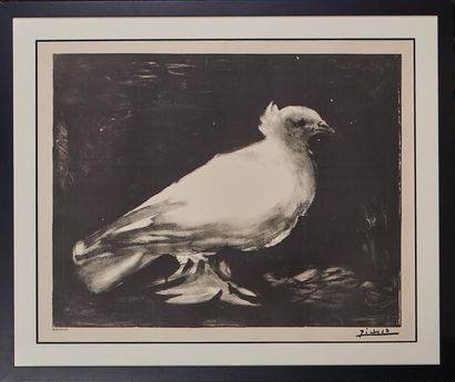 PICASSO Pablo (1881-1973) «Colombe de la paix» Sérigraphie - Imp. Mourlot - (56 x...