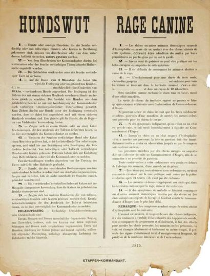 null RAGE CANINE - 1915 (Régions occupées) - Consigne Bilingue en neuf points et...