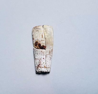 null Fragment figurant un visage humain

Os peint 4,5 cm

Egypte antique