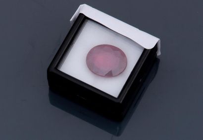 null Rubis ovale Pesant 11,03 carats
Non-analysé