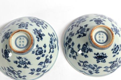 null 
Epoque Qing, XIX° siècle


Paire de coupes en porcelaine blanc et bleu, la...