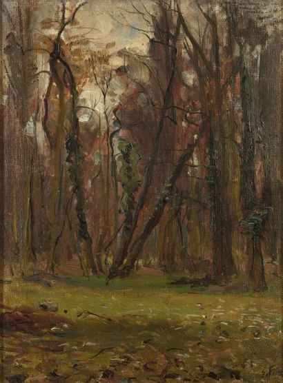 null Emile Othon Friesz (1879-1949)

Paysage de sous-bois

Huile sur toile contrecollée...