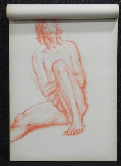 Gaston Coppens Nus Féminins et masculins: Carnet (41 x 30 cm) de 90 dessins au crayon...