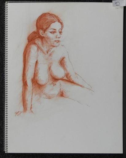 Gaston Coppens Nus Féminins: Carnet (32 x 41 cm) de 20 dessins au crayon gras.
Cachet...
