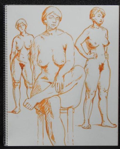 Gaston Coppens Nus Féminins: Carnet (41 x 33 cm) de 23 dessins au feutre et crayon...