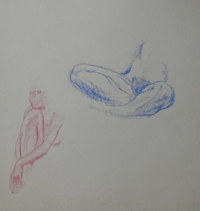 Gaston Coppens Nus Féminins et masculins: Carnet (55 x 44 cm) de 34 dessins au crayon...