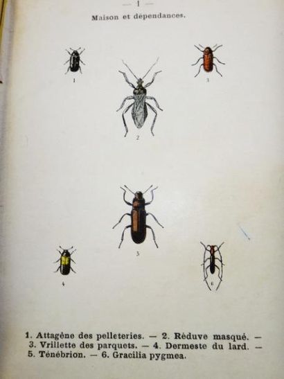 null Ernest Dongé. Atlas de poche des insectes de France, utiles ou nuisibles. 

Paris,...