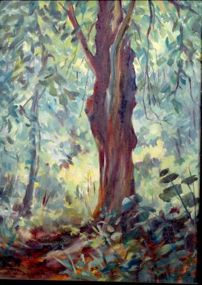 Gaston Coppens (1909-2002) «l'arbre»
Huile sur toile signée. 46 x 33 cm. Encadré...