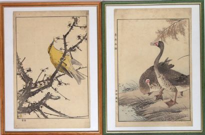 null 2 Estampes japonaises: Oiseau sur cerisier et Deux canards. Pièces encadrées,...